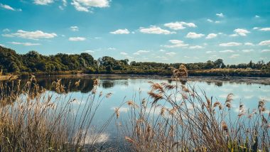 Ju on the road : Escapade en Hesbaye : la Réserve naturelle du Haut-Geer