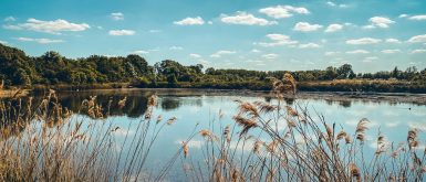 Ju on the road : Escapade en Hesbaye : la Réserve naturelle du Haut-Geer
