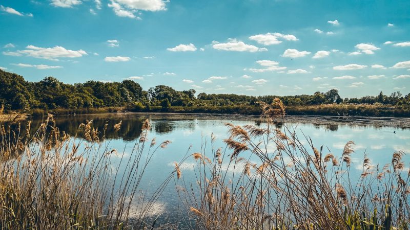 Ju on the road : Escapade en Hesbaye : la Réserve naturelle du Haut-Geer