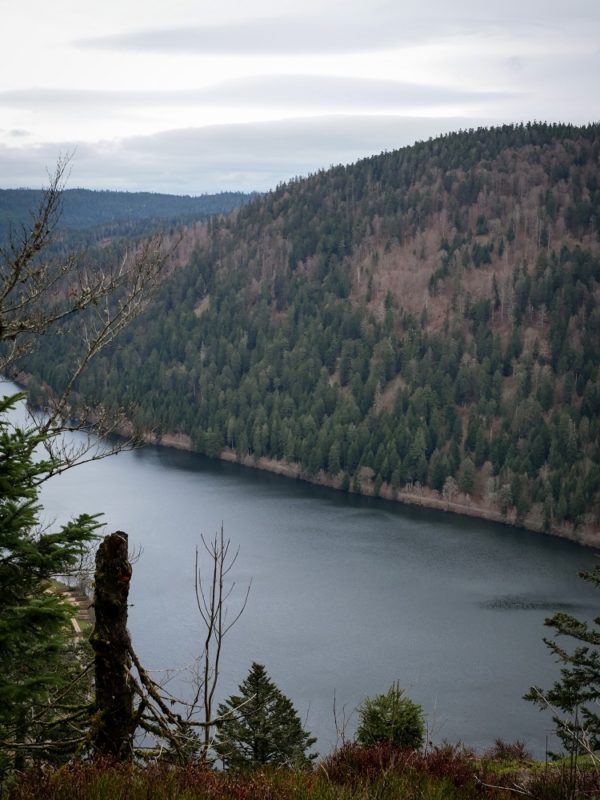Randonnée vers le lac de Lispach depuis le lac de Longemer dans les ...