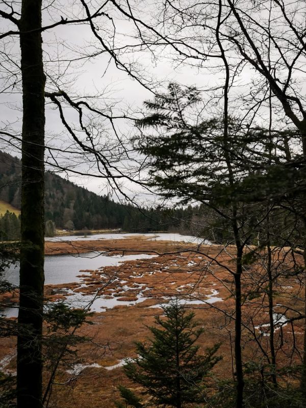 View of Randonnée vers le lac de Lispach depuis le lac de Longemer dans les ...